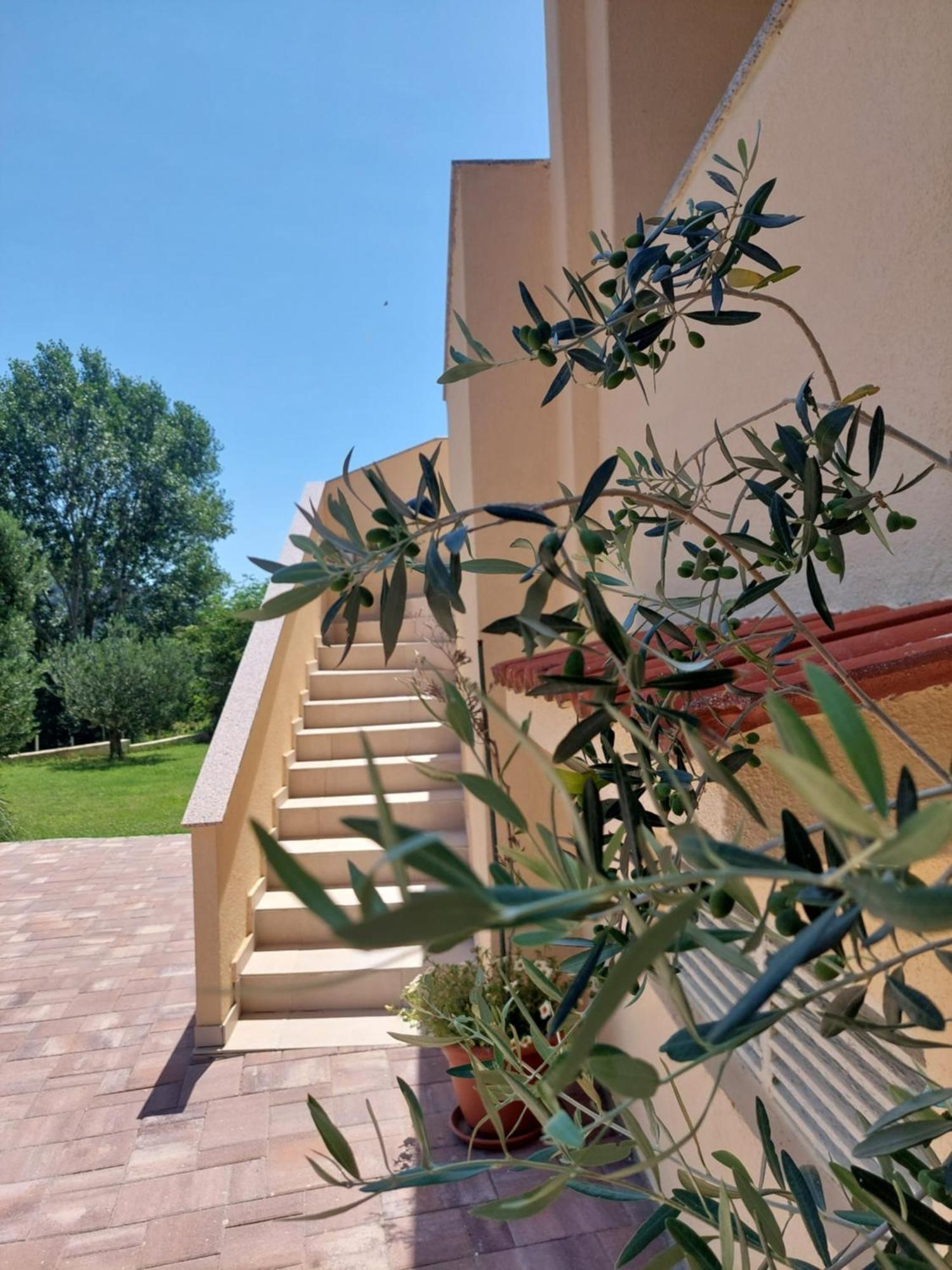 Novouredeni Apartman Marko Mundanije Ngoại thất bức ảnh